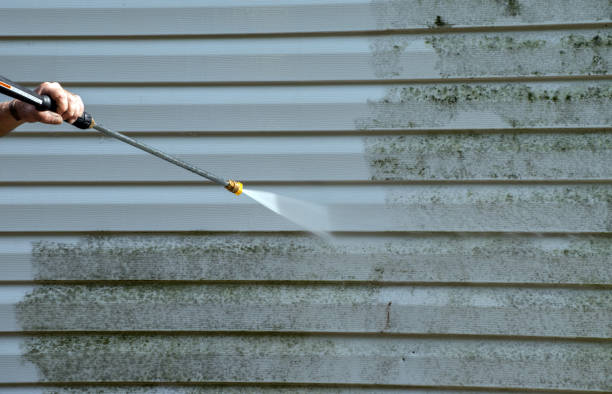 Best Commercial Mold Removal  in Bloomington, TX