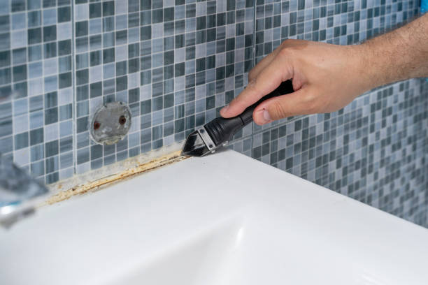 Best Mold Removal Near Me  in Bloomington, TX