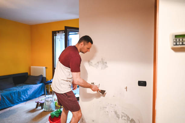 Best Affordable Mold Removal  in Bloomington, TX